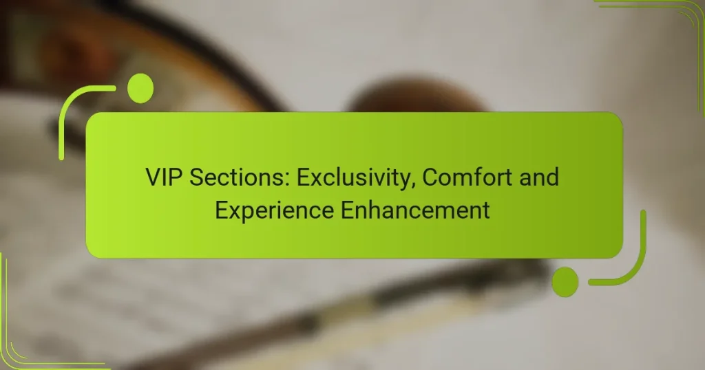 VIP Sections: Exclusivity, Comfort and Experience Enhancement