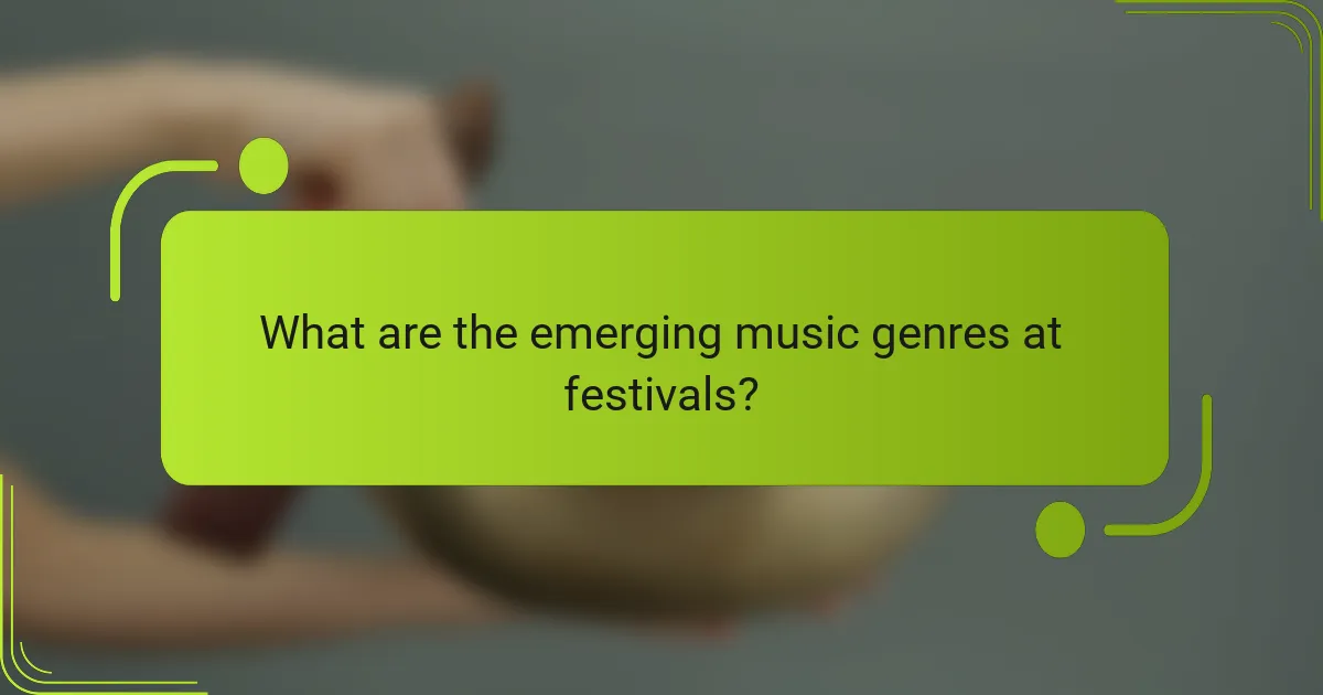 What are the emerging music genres at festivals?