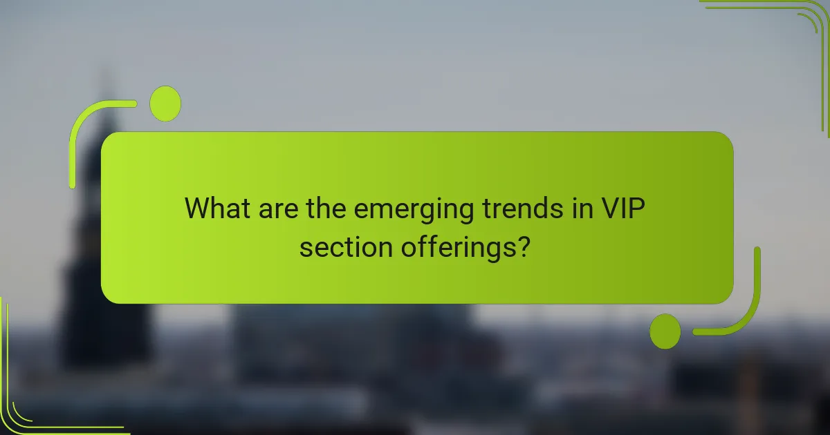 What are the emerging trends in VIP section offerings?